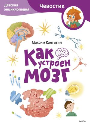 М. Калтыгин «Как устроен мозг»
