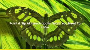 Paint & Sip At Insectropolis August 28: 5 Things You Need To Know