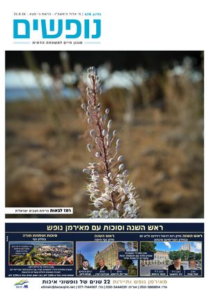 נופשים - סגנון חיים למשפחה דתית