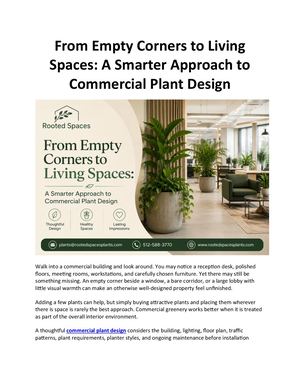 From Empty Corners to Living Spaces: Smarter Commercial Plant Design for Workplaces