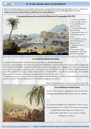 CH1 - Activité 4 - La vie dans les plantations
