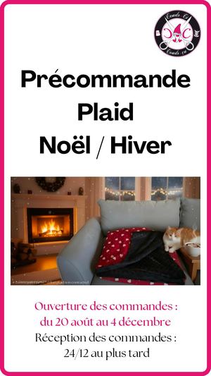 Catalogue plaid Noël 2026