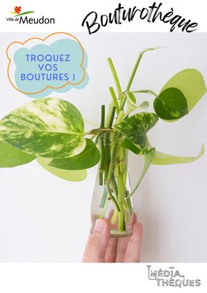Flyers Bouturothèque