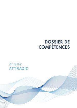Dossier De Competences V2
