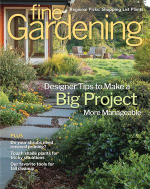 Fine Gardening 229 - Preview