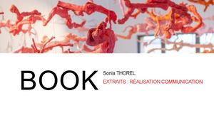 Portfolio Extrait Communication Maire Saint Tropez