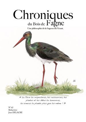 Les Chroniques du Bois de Fagne N°62