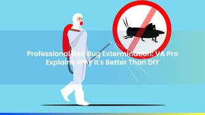 Professional Bed Bug Extermination: VA Pro Explains Why It's Better Than DIY