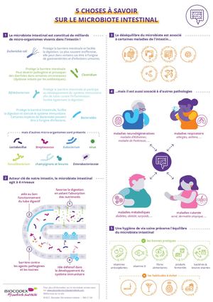 5 Choses À Savoir Sur Le Microbiote Intestinal Fr