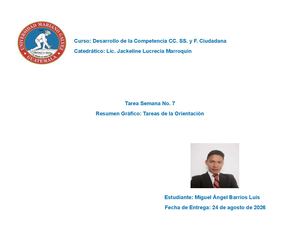 Resumen Gráfico, Tareas De La Orientación
