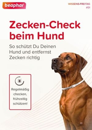 Wissen #01 Zecken beim Hund