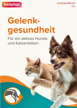 Wissen #02 :Gelenkgesundheit