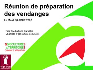 CA11 Réunion Pré-vendanges2026