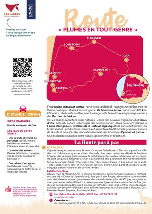 Routes landaises gourmandes - Route du foie gras "Plumes en tout genre"