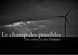 portfolio agroforesterie Ramecourt 2018