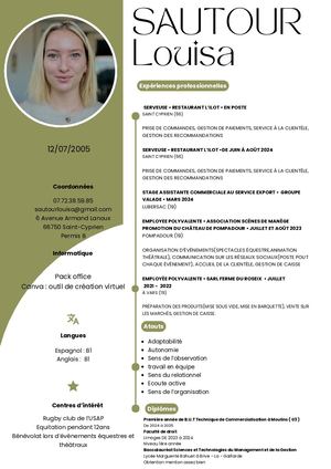 Cv Stage Btsvo