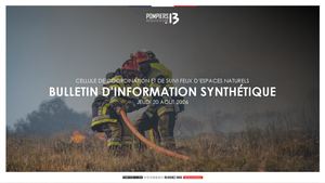 Bis Fden 20 08 2026