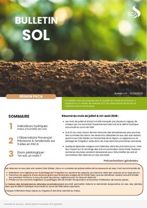 03 Bulletin Sol 20082026