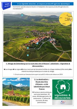 CG2 - EDC 1 - Le vignoble alsacien