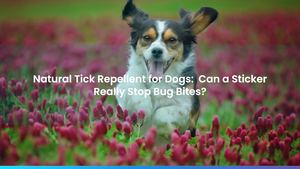 Natural Tick Repellent for Dogs: Can a Sticker Really Stop Bug Bites?