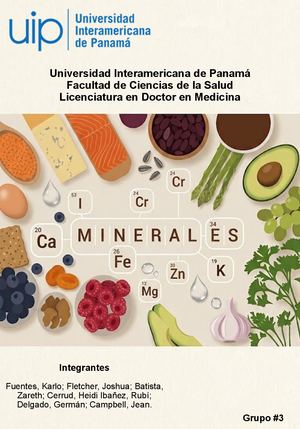 Revista Minerales