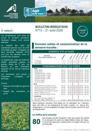 Bulletin Irrigation N°13 - été 2026