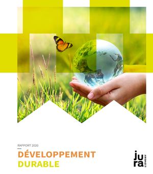 RAPPORT DEVELOPPEMENT DURABLE 2020