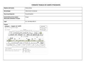 Formato Trabajo De Campo