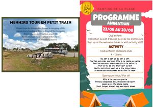 Programme été Semaine 8