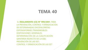 Pp Tema 40