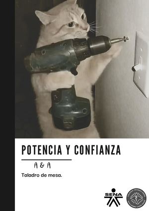 Potencia Y Confianza