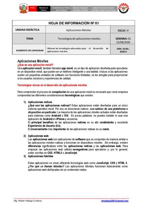 Hoja De Informacion Nº 01