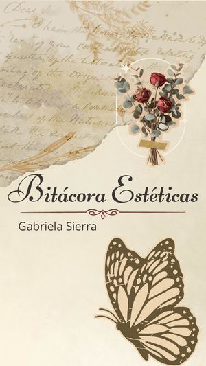 Bitacora Estéticas
