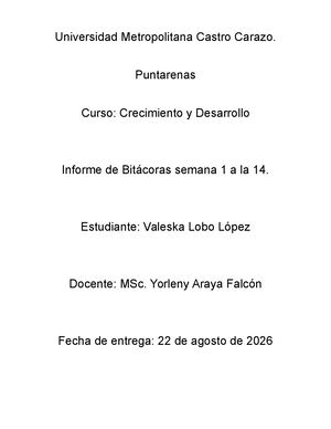 Semana 1 A La 14 Bitácora Valeska Lobo