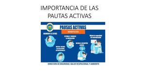 Importancia De Las Pautas Activas