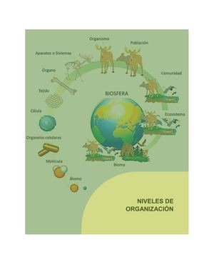 Tema 2 Niveles De Organización