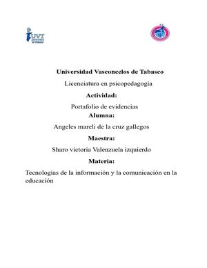 Portafolio De Evidencias Angeles Mareli D G