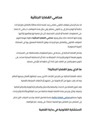 محامي القضايا الجنائية (1)