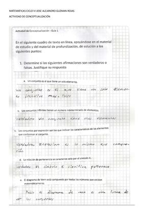 Matematicas Conceptualización Ciclo Vi