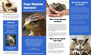 Sample Nonprofit Brochure