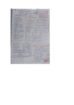 Conceptualizacion Graficas Del Conocimiento
