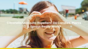 Citronella Mosquito Repellent: Do Candles, Plants & Sprays Really Work?