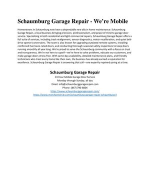 Schaumburg Garage Repair
