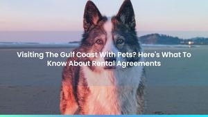 Visiting The Gulf Coast With Pets? Here's What To Know About Rental Agreements