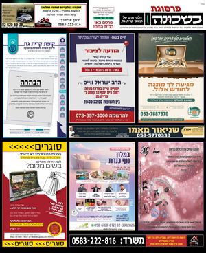 פרסוגת למייל 61