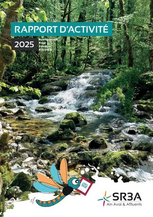 Rapport d'activité 2025