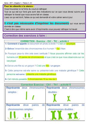 3 Ch1 A6 Cours (Gènes)