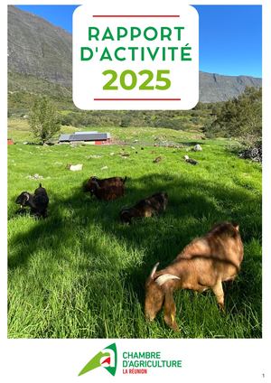Rapport D'activité 2025 Chambre D'agriculture La Réunion