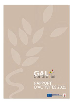 Gal Condruses Rapport Activités 2025