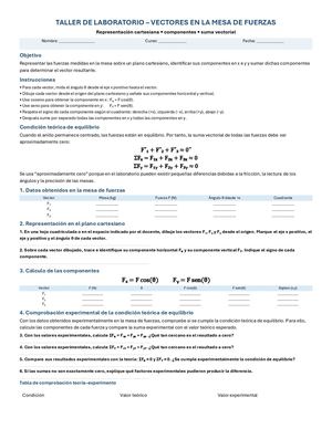Lab vectores Comprobacion Teorica Experimental